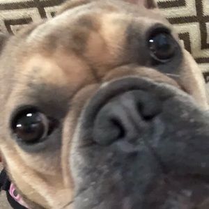 Meet your Posher, William